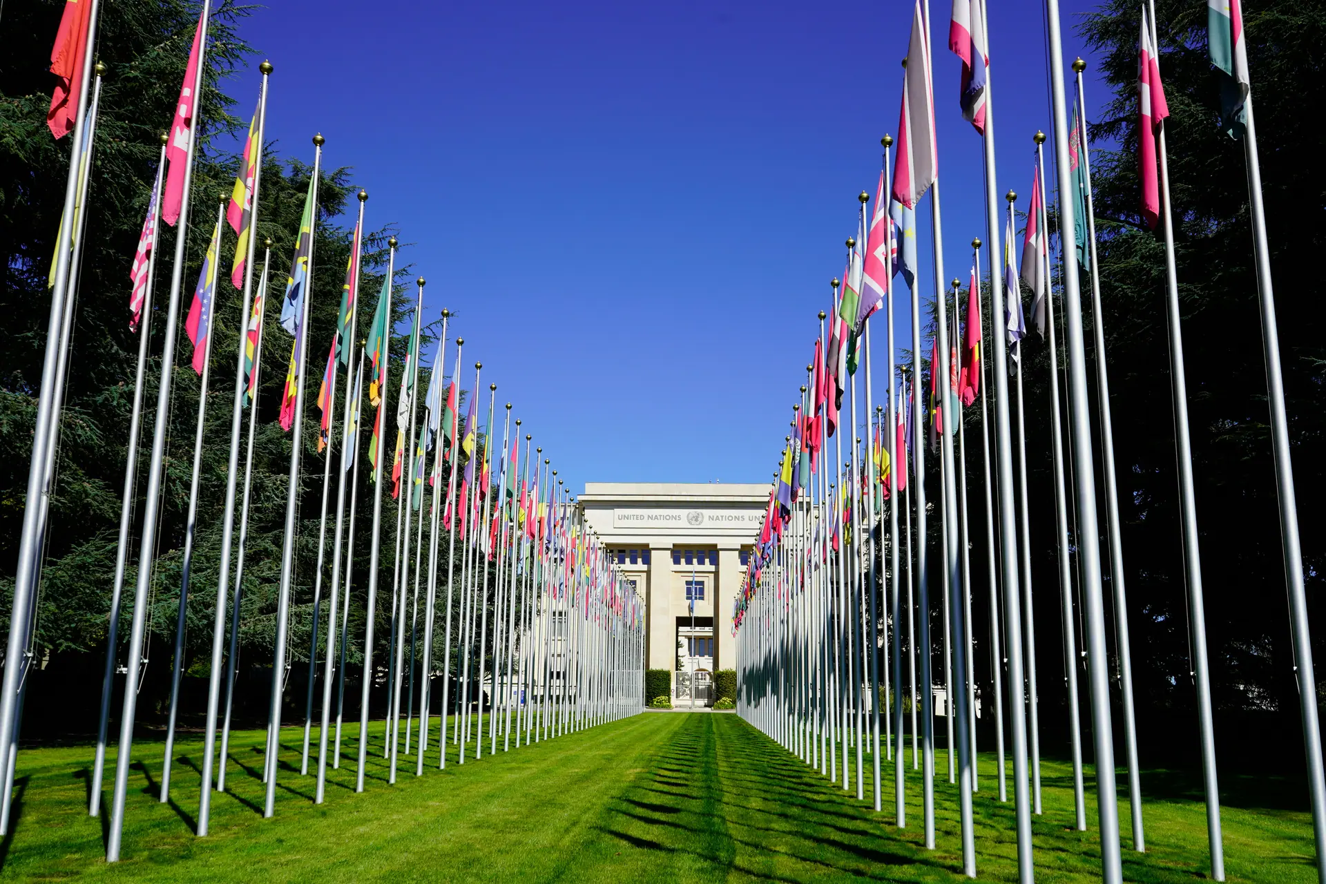 Diplomatic Corps
